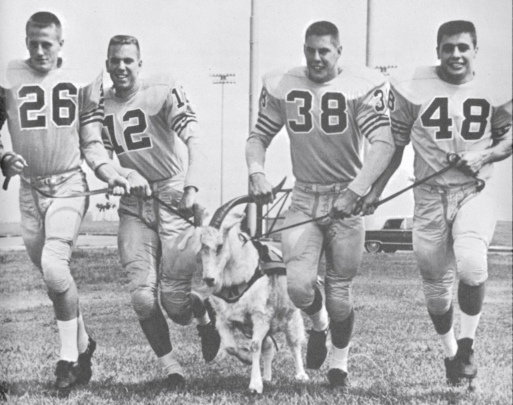 Navy’s versatile backfield leads the academy mascot, Bill XV, onto the field for a 1962 practice (from left): Dick Earnest, Roger Staubach, Pat Donnelly and John Sai. (Author’s collection)